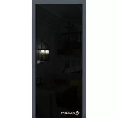 Міжкімнатні Двері 812 Solid 2 Terminus Скляні 28822 фото