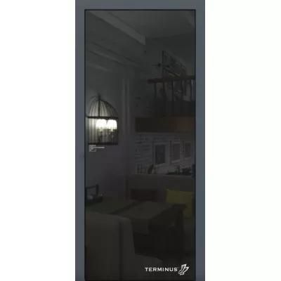 Міжкімнатні Двері 812 Solid 2 Terminus Скляні 28822 фото